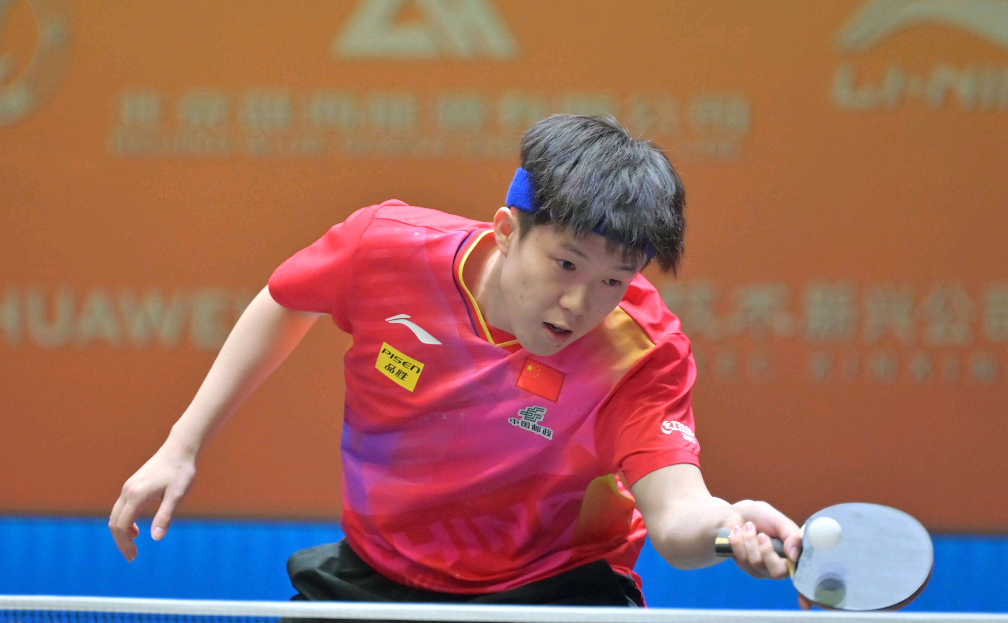 迷与分析人 迷与分析人