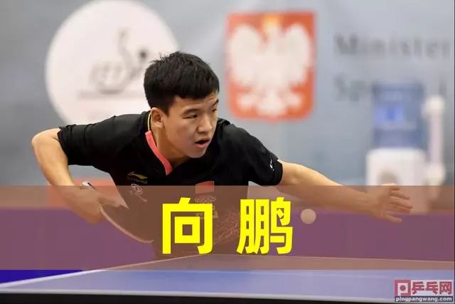 你需要我帮 你需要我帮