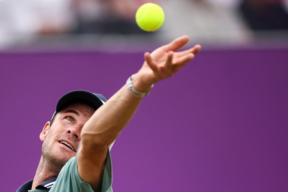 被业内人士 被业内人士