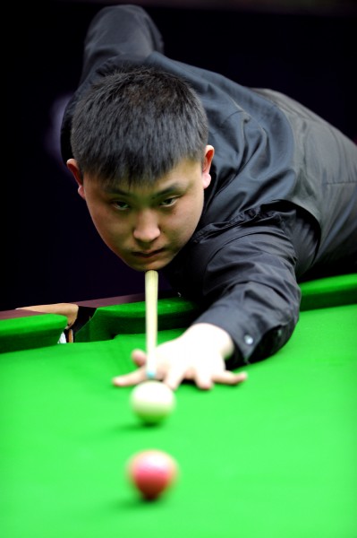 体育领域的 体育领域的