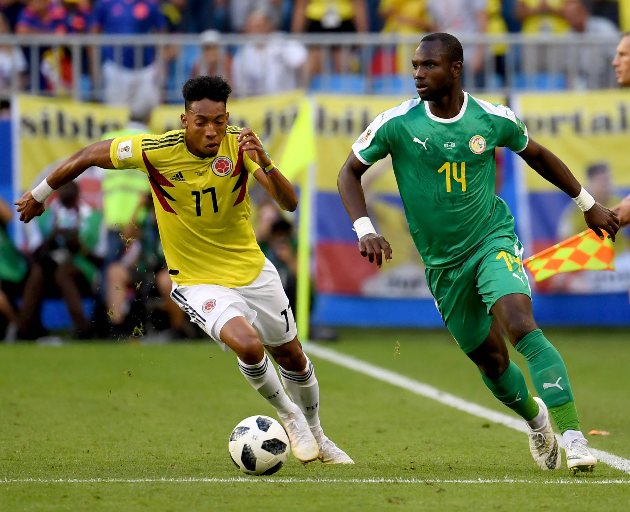 坎塞洛可司 坎塞洛可司